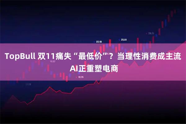 TopBull 双11痛失“最低价”？当理性消费成主流 AI正重塑电商