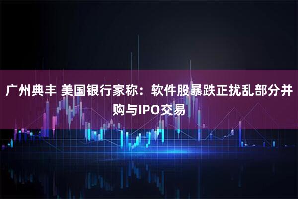 广州典丰 美国银行家称：软件股暴跌正扰乱部分并购与IPO交易