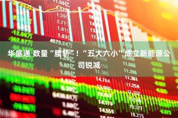 华盛通 数量“腰斩”! “五大六小”成立新能源公司锐减