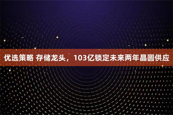 优选策略 存储龙头，103亿锁定未来两年晶圆供应