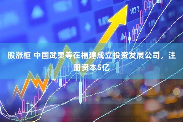 股涨柜 中国武夷等在福建成立投资发展公司，注册资本5亿