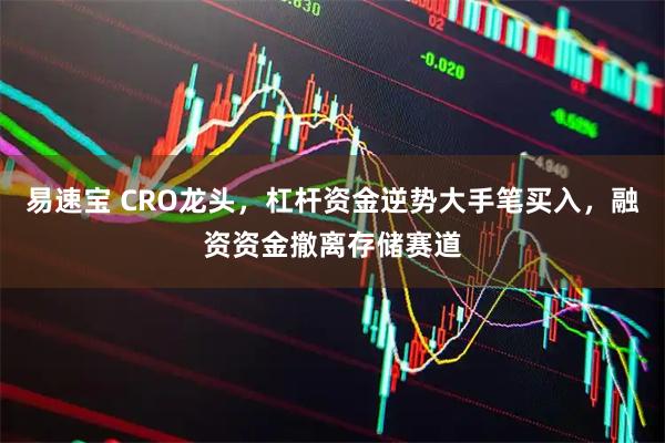 易速宝 CRO龙头，杠杆资金逆势大手笔买入，融资资金撤离存储赛道