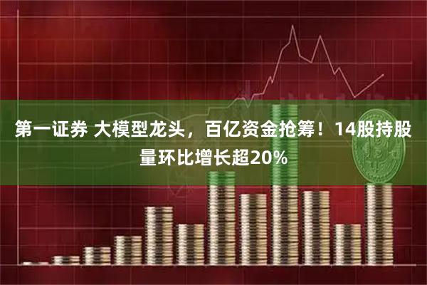 第一证券 大模型龙头，百亿资金抢筹！14股持股量环比增长超20%